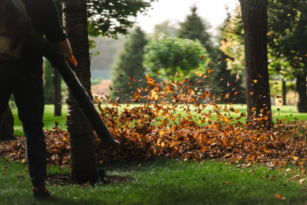 person using a leaf blower on fallen autumn leaves in a park